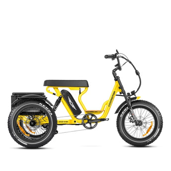 Electric Trikes
