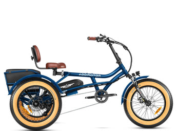 AddMotor Arisetan Semi Recumbent Trike 750W Rear Drive