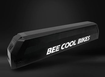 BEE COOL ADVENTURER 48V 750W Full Suspension
