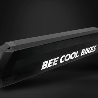 BEE COOL ADVENTURER 48V 750W Full Suspension