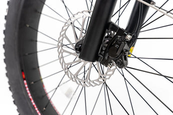 BEE COOL PATHFINDER STEP THRU 48V 750W