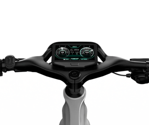 Mercedes-AMG PETRONAS F1® Team City Edition 750 Electric Bike - Pick Up In Store Only Please Call Us