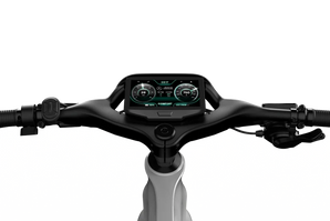 Mercedes-AMG PETRONAS F1® Team City Edition 750 Electric Bike - Pick Up In Store Only Please Call Us