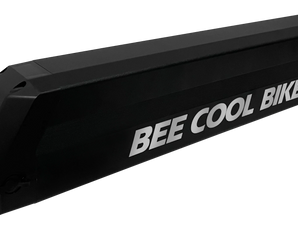 BEE COOL Adventurer Explorer Battery