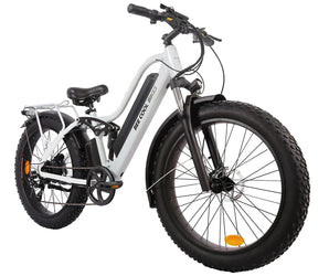 BEE COOL EXPLORER 48V 750W