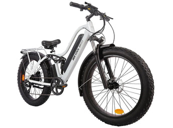 BEE COOL EXPLORER 48V 750W
