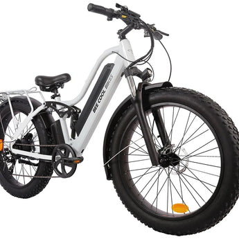 BEE COOL EXPLORER 48V 750W