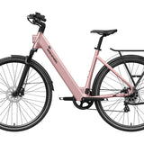 FLINT ST Ebike