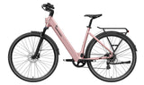 FLINT ST Ebike