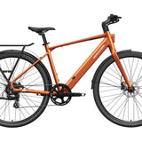 FLINT Ebike