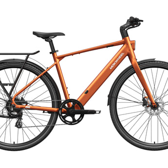 FLINT Ebike