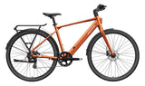 FLINT Ebike