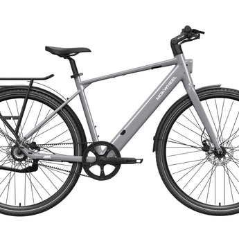 FLINT PRO Ebike