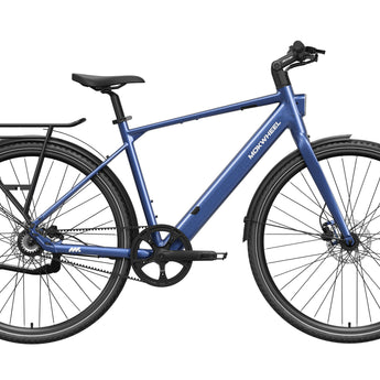 FLINT PRO Ebike