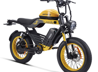 HappyRun G100 Pro 6000W Electric Bike Dual Battery