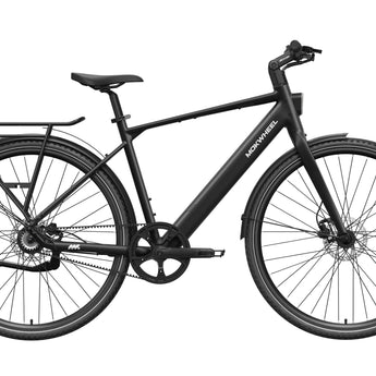 FLINT PRO Ebike