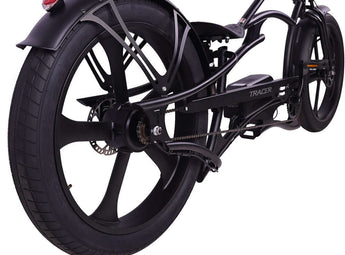 Raptor Pro DS 800W Stretch Cruiser Ebike