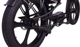 Raptor Pro DS 800W Stretch Cruiser Ebike