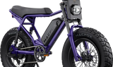 Macfox X2 Electric Mountain Bike