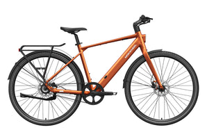 FLINT PRO Ebike