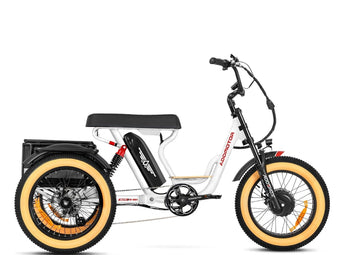 AddMotor Soletri Trike 750W Rear Drive