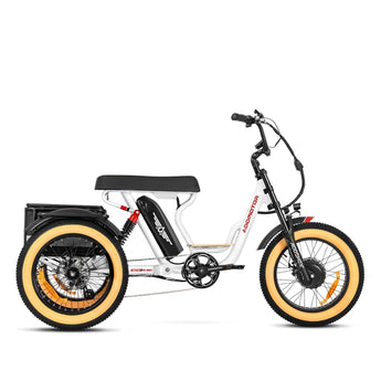 AddMotor Soletri Trike 750W Rear Drive