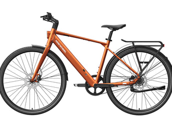 FLINT PRO Ebike