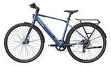 FLINT Ebike