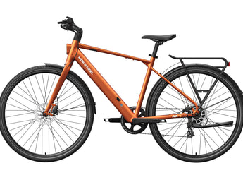FLINT Ebike