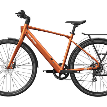 FLINT Ebike