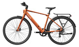 FLINT Ebike