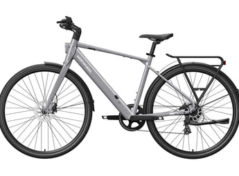 FLINT Ebike