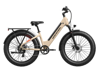 Mesa Plus ST Electric Bike