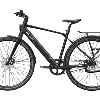FLINT PRO Ebike