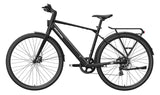 FLINT Ebike