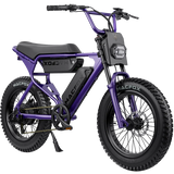 Macfox X1S Commuter E-bike