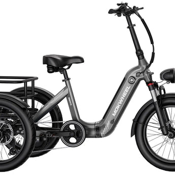 Mokwheel Granite Trike 48V 500W Rear Drive
