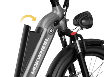 Mokwheel Granite Trike 48V 500W Rear Drive
