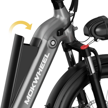 Mokwheel Granite Trike 48V 500W Rear Drive