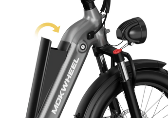 Mokwheel Granite Trike 48V 500W Rear Drive