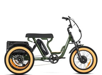 AddMotor Soletri Trike 750W Rear Drive