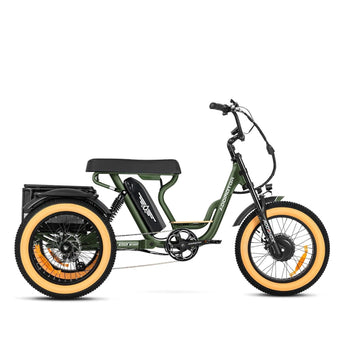 AddMotor Soletri Trike 750W Rear Drive