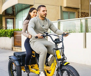 AddMotor Soletri Trike 750W Rear Drive