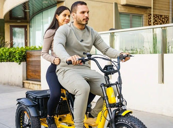AddMotor Soletri Trike 750W Rear Drive