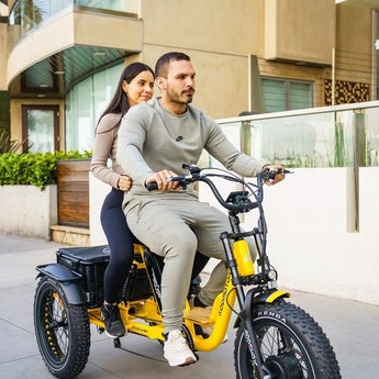 AddMotor Soletri Trike 750W Rear Drive