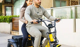 AddMotor Soletri Trike 750W Rear Drive