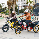 AddMotor Soletri Trike 750W Rear Drive