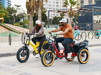 AddMotor Soletri Trike 750W Rear Drive