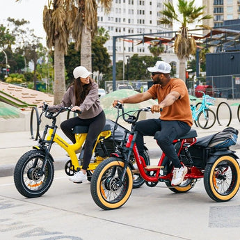 AddMotor Soletri Trike 750W Rear Drive