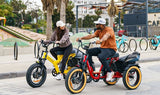 AddMotor Soletri Trike 750W Rear Drive